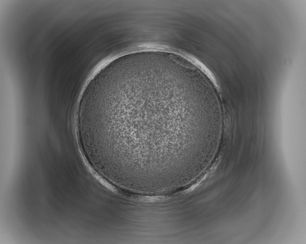 X0000116431381200912151009