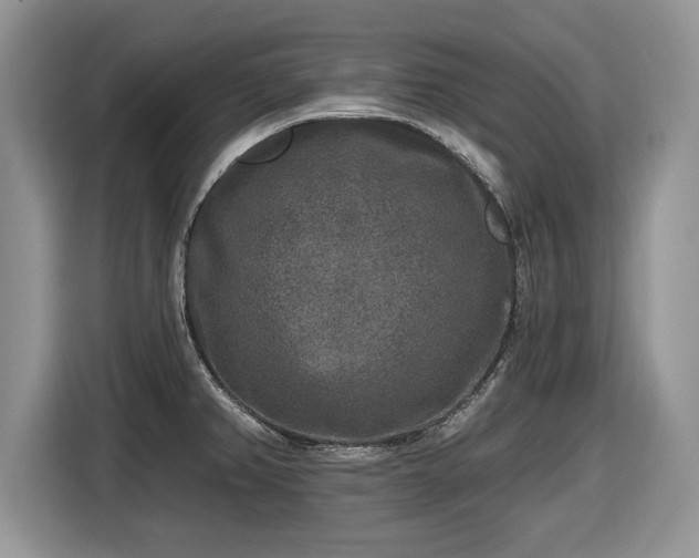 X0000116431382200912151009