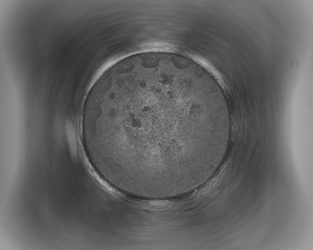 X0000116431383200912151009