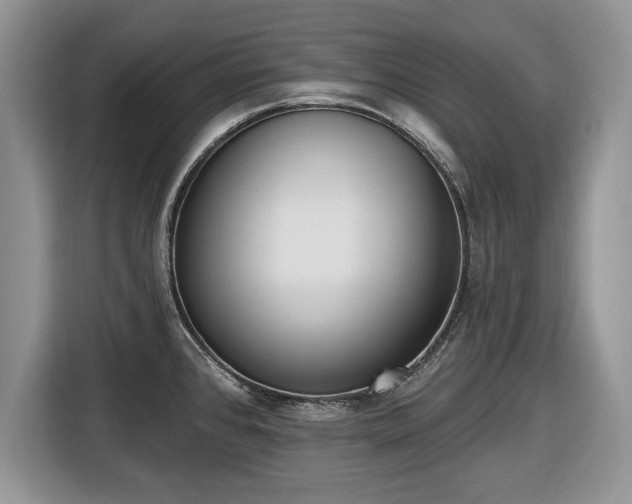 X0000116431384200912151009