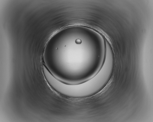X0000116431385200912151009