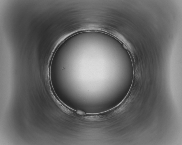 X0000116431388200912151009