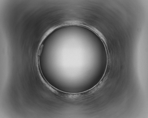 X0000116431389200912151009