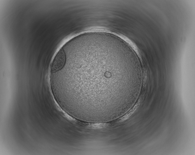 X0000116431390200912151009