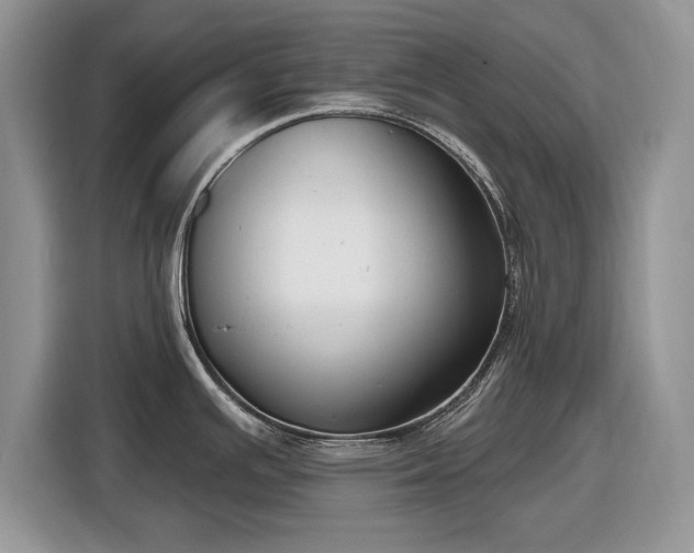 X0000116431391200912151009