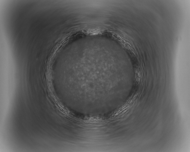 X0000116431393200912151009