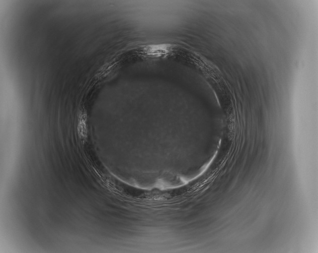 X0000116431394200912151009