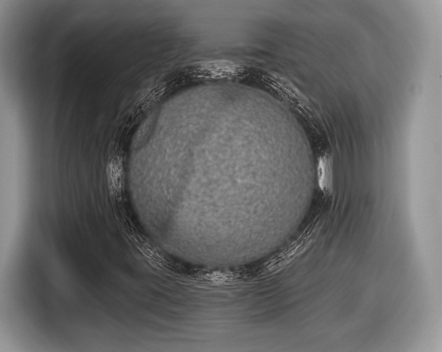 X0000116431395200912151009