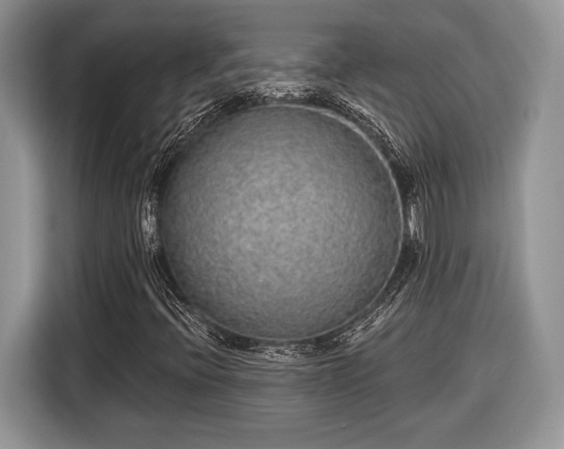 X0000116431396200912151009