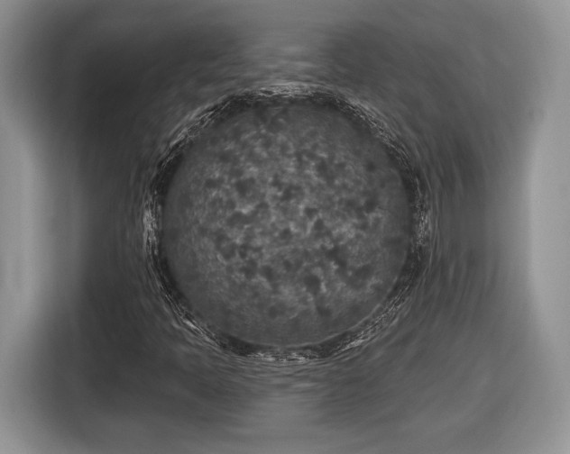 X0000116431397200912151009