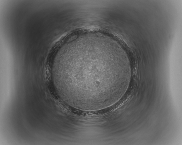 X0000116431398200912151009