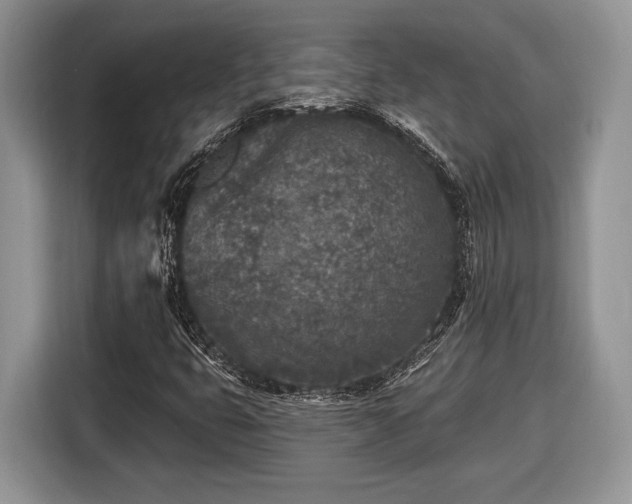 X0000116431399200912151009