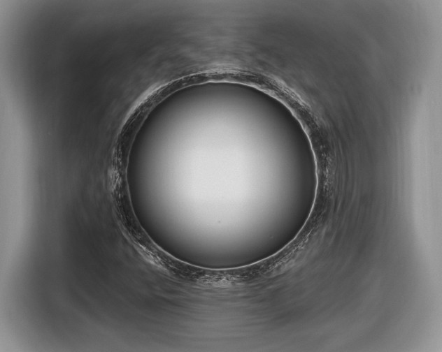 X0000116431400200912151009