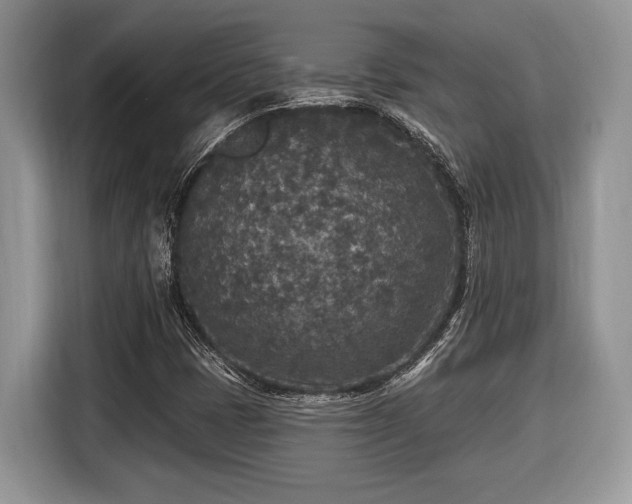 X0000116431401200912151009