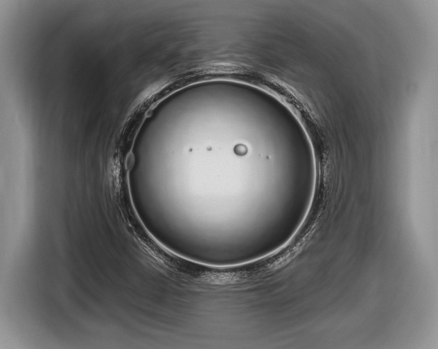 X0000116431402200912151009