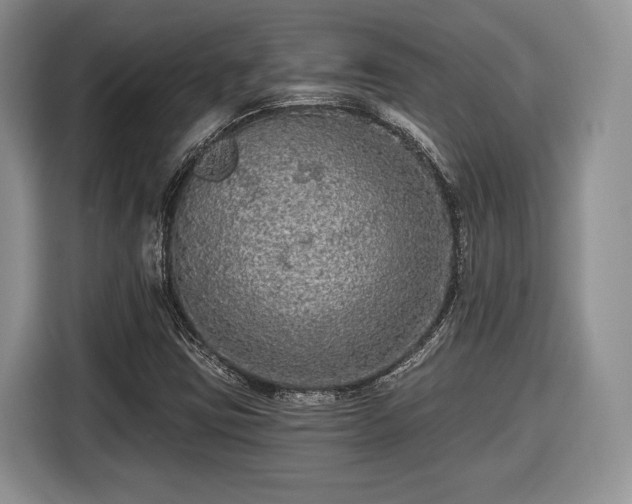 X0000116431403200912151009