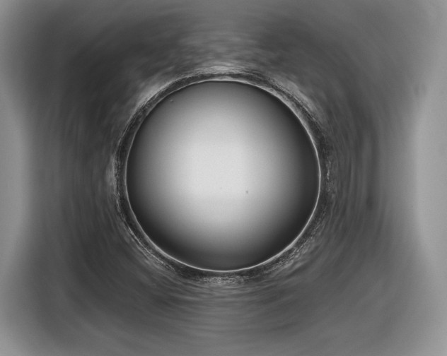 X0000116431404200912151009