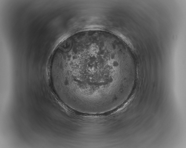 X0000116431405200912151009