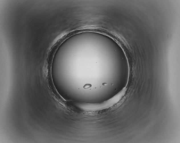 X0000116431406200912151009
