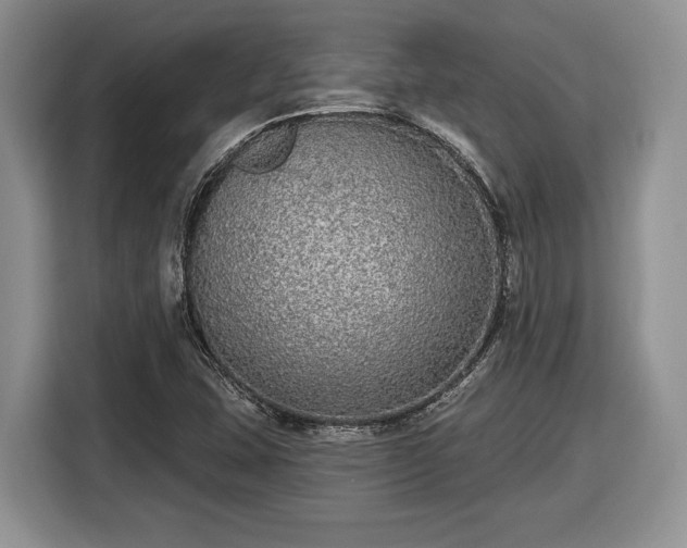 X0000116431407200912151009
