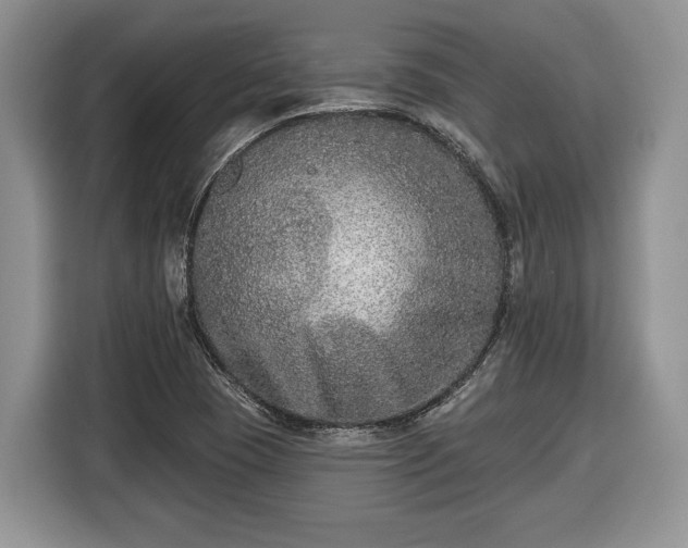 X0000116431409200912151009