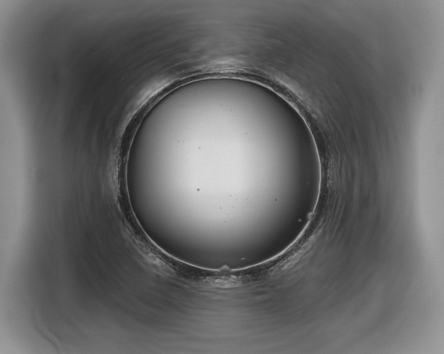 X0000116431410200912151009