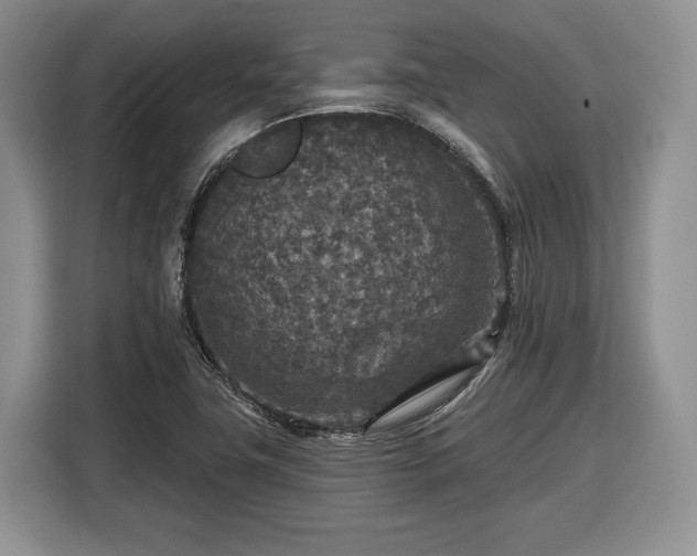 X0000116431411200912151009