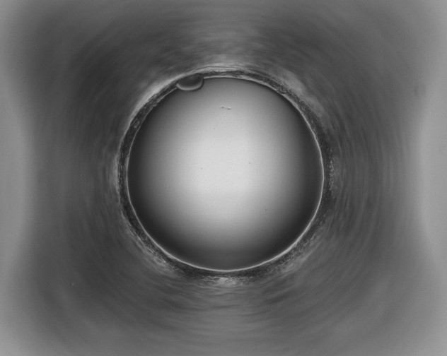 X0000116431412200912151009