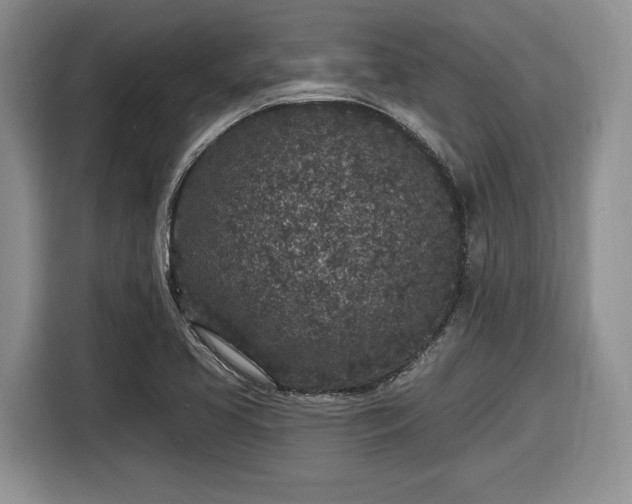 X0000116431413200912151009
