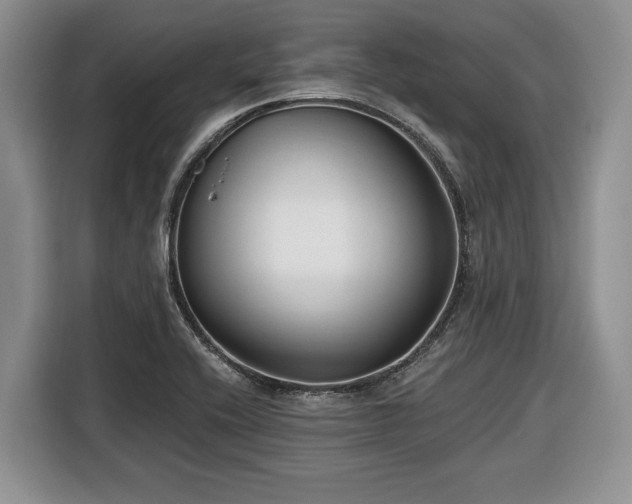 X0000116431416200912151009