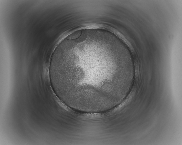 X0000116431417200912151009