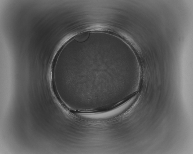 X0000116431418200912151009