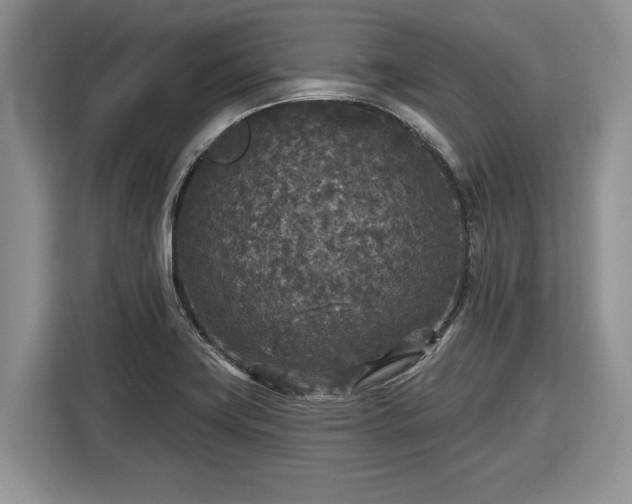 X0000116431419200912151009