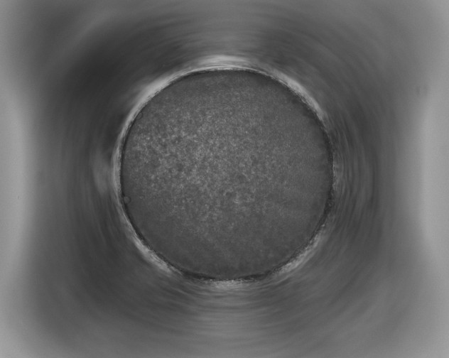 X0000116431421200912151009