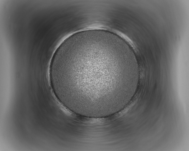 X0000116431423200912151009