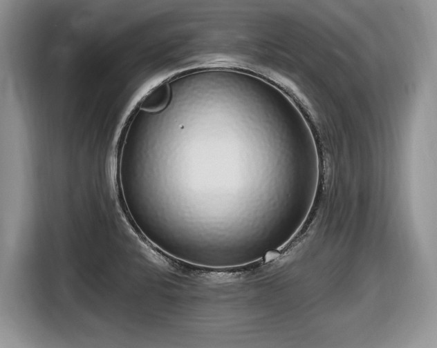 X0000116431424200912151009