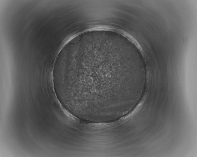 X0000116431425200912151009