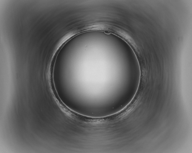 X0000116431426200912151009