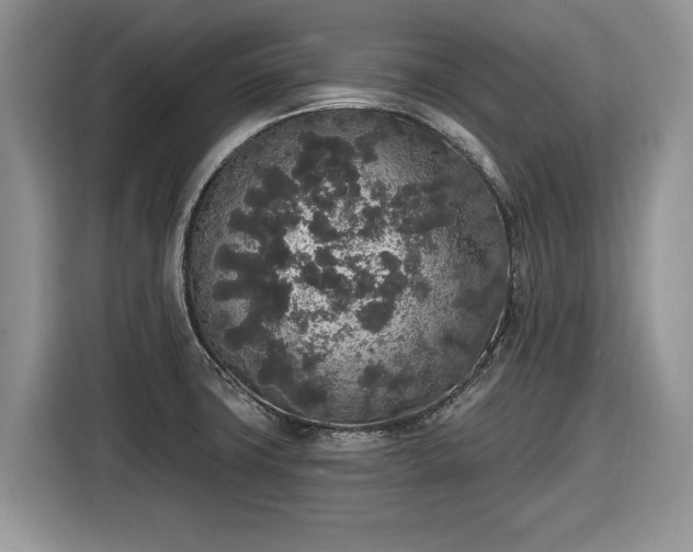 X0000116431427200912151009