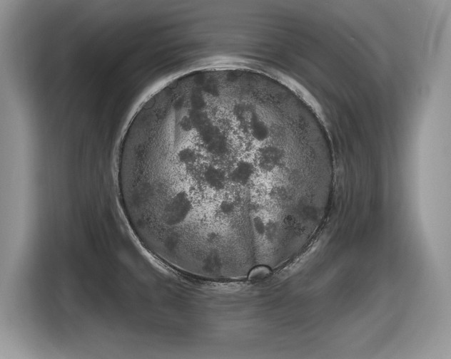 X0000116431429200912151009