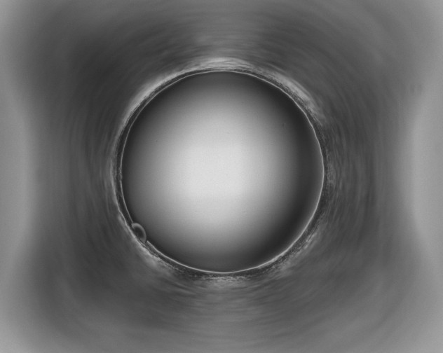 X0000116431430200912151009