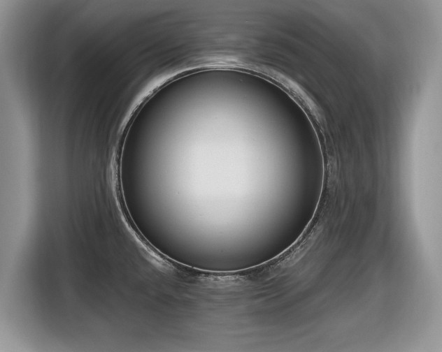 X0000116431432200912151009