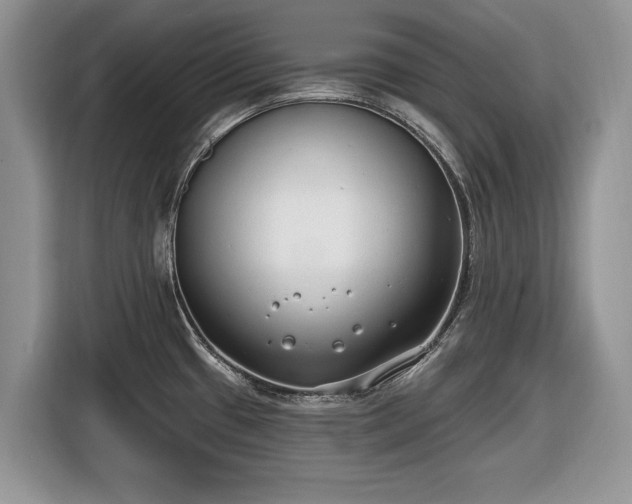 X0000116431433200912151009