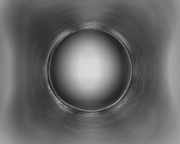 X0000116431434200912151009