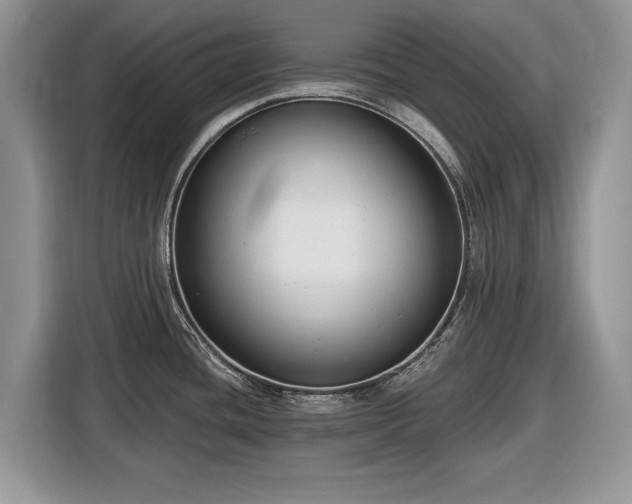 X0000116431436200912151009