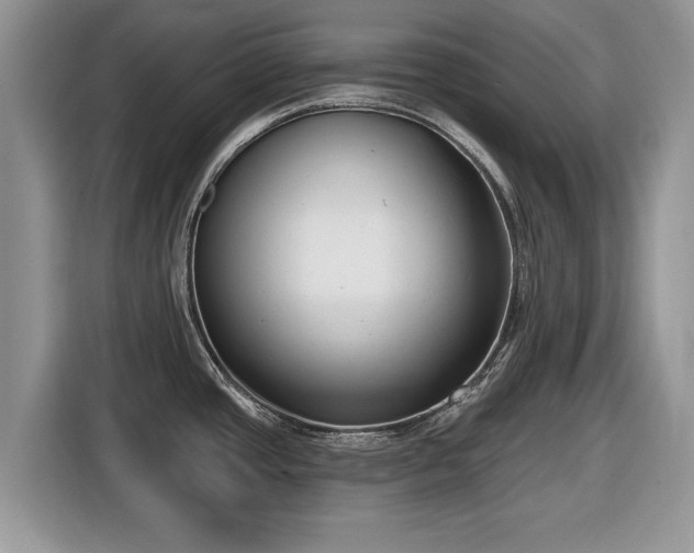 X0000116431437200912151009
