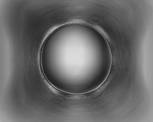 X0000116431438200912151009