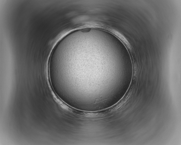 X0000116431439200912151009