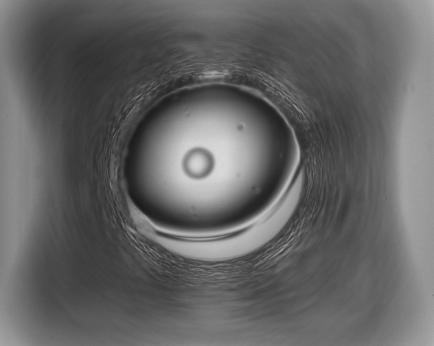 X0000116431441200912151009