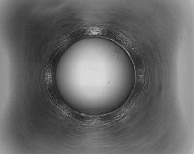 X0000116431442200912151009